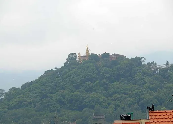 Eco Hotel